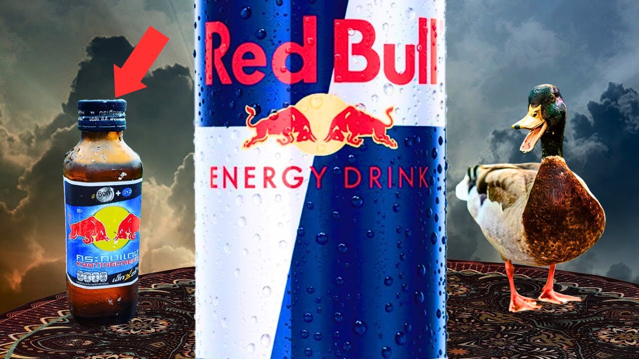 L'incroyable histoire du succès de Red Bull | (documentaire 2024)