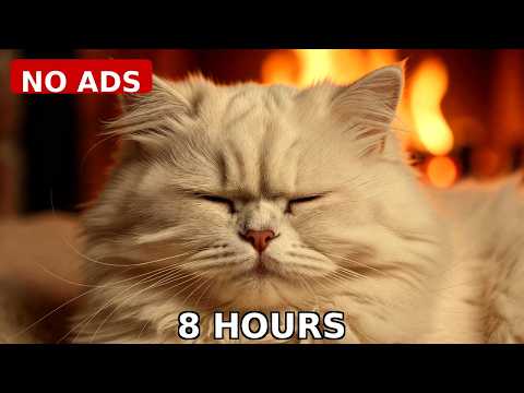 8 Hour Cat TV - Cozy Cat Sleeping by Fireplace 🔥 to Help Cats Sleep | Purr Frequencies for Anxiety