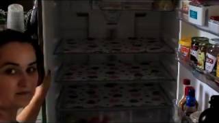 Vida De Casada Limpando A Geladeira