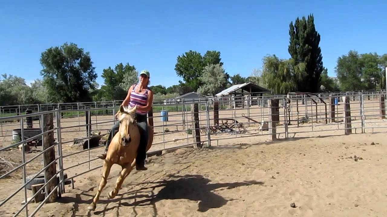 Riding bareback with no bridle 042.MOV