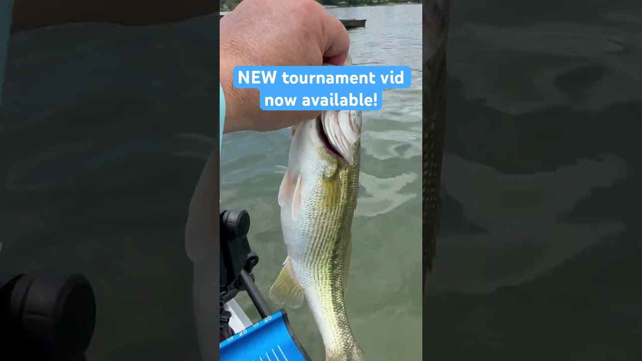 New bass tournament video! 