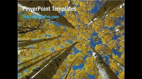 Yellow Tree PowerPoint Template Backgrounds - DigitalOfficePro #08157