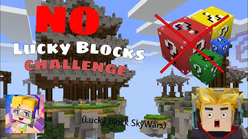 NO Lucky Blocks Challenge in Lucky Block Sky War! | BlockmanGo - Maxy BG