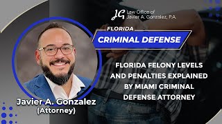 Florida Felony Levels And Penalties Explained By Miami Criminal Defense Attorney