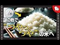 【審議】世に出回る"CMトリック"は本当なのか。ウソ解説を暴きます!