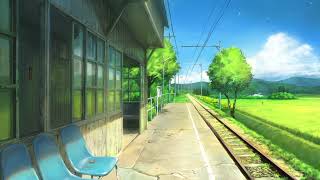 noni & Rudy Raw - Equipment