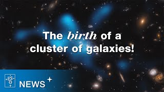 Witnessing the Birth of a Distant Cluster of Galaxies (ESOcast Light 259)
