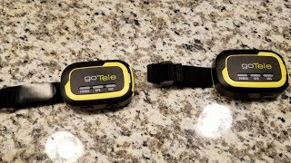No subscription GPS tracker from goTele