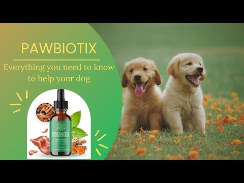 pawbiotix benefits | 🐶❤️Puppy❤️🐶 | does pawbiotix work | is pawbiotix legit
