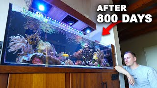 SHALLOW REEF TANK after 800 days - UPDATE OF 300 Liter lagoon aquarium 🐠