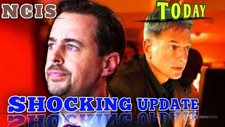"NCIS Fans Rally Behind Sean Murray as Tim McGee's Future on the Show Hangs in the Balance!"