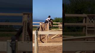 Excited for the show! #horse #equestrian #fyp