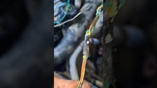 Hard Starting Issue | Ford Edge 2008DTC: P061D-FF – Engine Air Mass Performance#shortvideo #viralvid