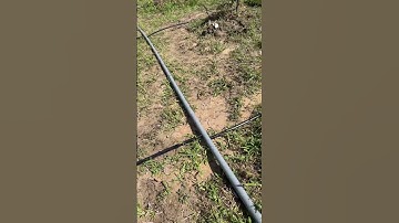 Hướng dẫn cách làm hệ thống tưới tựu động cho sầu riêng tại nhà