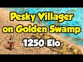 AoE2 1v1 Game - Pesky Villager on Golden Swamp