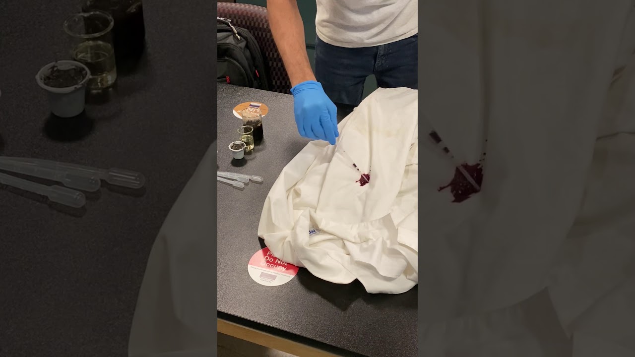 Stains...  NCW 2020 BBC Science Club @ FIU ACS Chapter