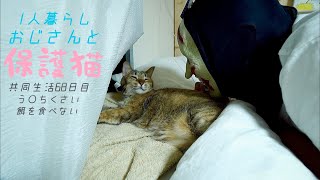 【1人暮らし】彼女に寝起きドッキリしてみた｜初めての歯磨き｜100均DIY｜ハロウィン｜保護猫6歳｜＃11