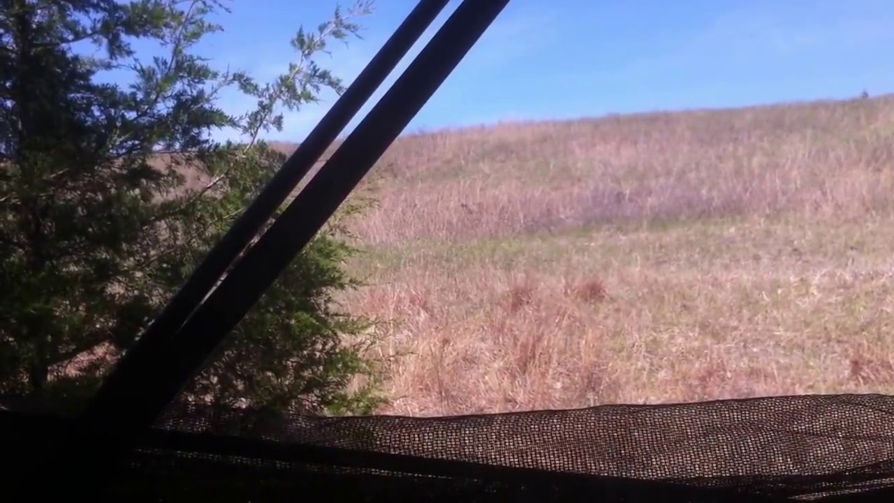 Lane Farris and Cody Eldredge Double in Nebraska