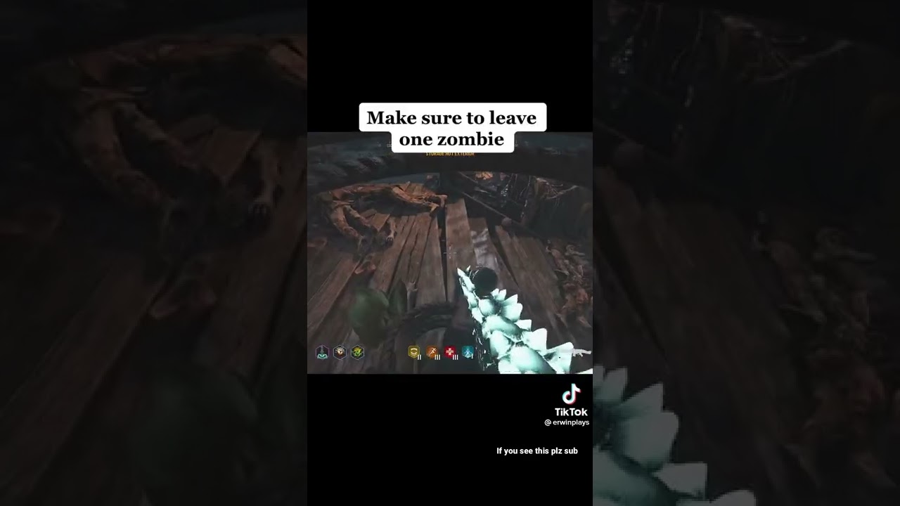 Call of duty Vanguard Zombies Glitch