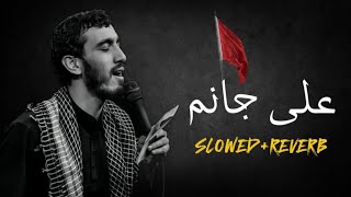 𝐀𝐋𝐈 𝐉𝐀𝐍𝐀𝐌🏴 [ 𝐒𝐋𝐎𝐖𝐄𝐃 𝐑𝐄𝐕𝐄𝐑𝐁 ] • 𝐌𝐄𝐇𝐃𝐈 𝐑𝐀𝐒𝐎𝐔𝐋𝐈 • 𝐏𝐋𝐄𝐀𝐒𝐄 𝐔𝐍𝐅𝐑𝐄𝐄𝐙𝐄 𝐌𝐘 𝐀𝐂𝐂𝐎𝐔𝐍𝐓 🤌❤️