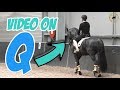 FULL TRAINING SESSION ON A YOUNG HORSE - Dressage Mastery TV Episode 301