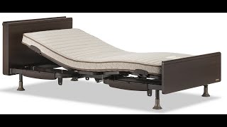 フランスベッド 電動ベッドフレーム レステックス05C 【完全保存版