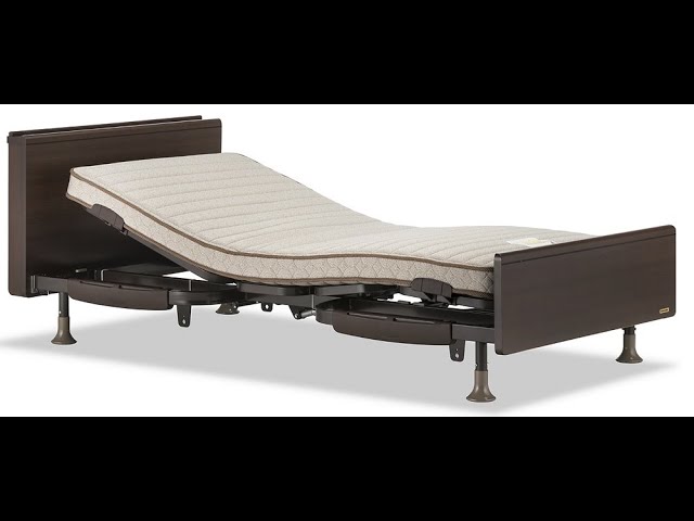 フランスベッド 電動ベッドフレーム レステックス05C 【完全保存版