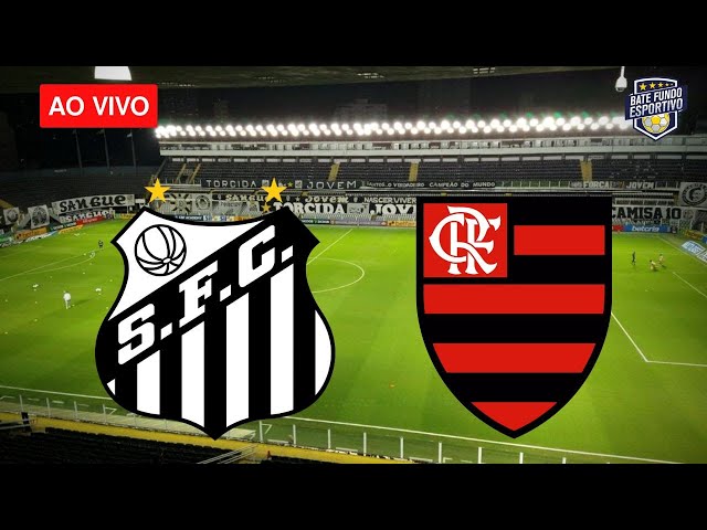 Santos x Flamengo ao vivo: acompanhe tudo sobre o jogo pela Série A do  Campeonato Brasileiro - Jogada - Diário do Nordeste