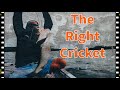 Choose The Right Cricket