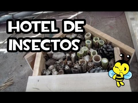 Cómo hacer un Hotel de Insectos | La huerta de Ivan