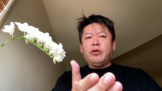 拘置所や刑務所での新型コロナ対策について話します