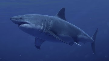 Rust - Devblog "Going Deep"! Полный обзор!