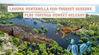 Croc and Tortuga Sanctuaries