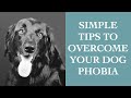 Why You Have A Dog Phobia And How To Overcome It I The Speakmans 
