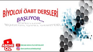 Bi̇yoloji̇ Öabt Dersleri̇ Başliyor