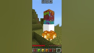 Perhaps Mojang will add new features on Minecraft 1.21 #minecraft #minecraftmemes #minecraftbuild