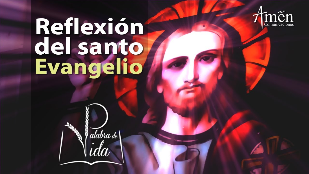 EVANGELIO DEL DÍA | PALABRA DE VIDA 16 de Julio 2017 l Padre Carlos Yepes evangelion death and rebirth