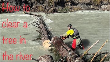 How to clear fallen trees from a glacial river