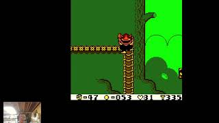 Wario Land Super Mario Land 3 DX Part 6