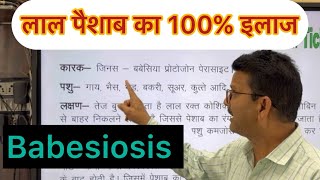 Red Water L Babesiosis L Ticks Fever L Dr Umar Khan