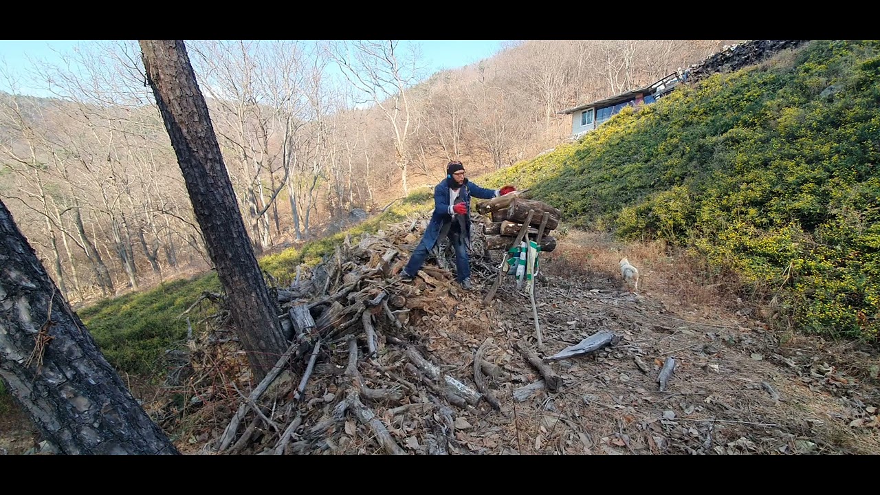 운동시간 #지개 #장작 - YouTube