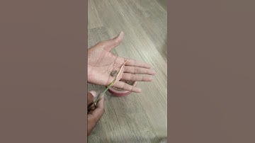 How to grow date palm from seeds #datepalm #datepalmtree #khajor#datetree #gardening #palmtree #tree