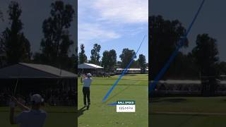 Max Greyserman hole in one at The Genesis Invitational 🔥⛳️ #golf #golfswing #pgatour