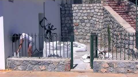 How to survey a garden [part 1]