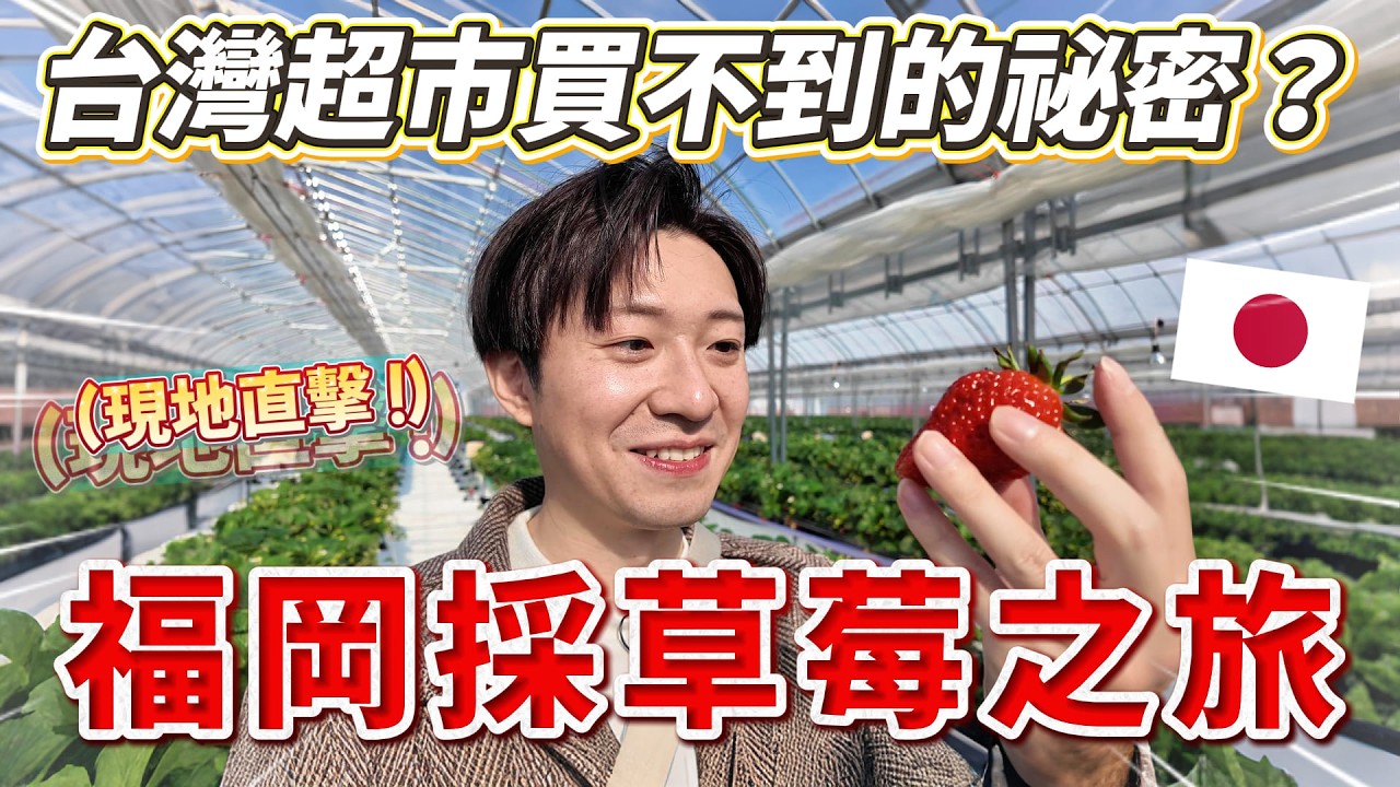 🇯🇵 日本草莓外銷大解密！專訪當地農場主人 揭開台灣超市草莓「昂貴」的背後真相...｜ 遊日本 うるう農園