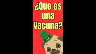 ✅ ¿QUE ES UNA VACUNA? ✅ by VETERINARIO GRATIS 2,634 views 10 days ago 2 minutes, 11 seconds