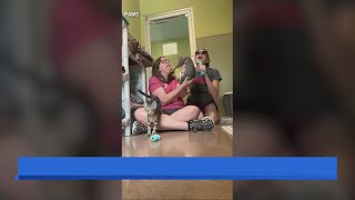 Free Pet Adoptions Coming Soon Thanks to National Contest Win