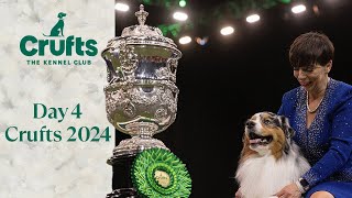 Day 4 of Crufts 2024