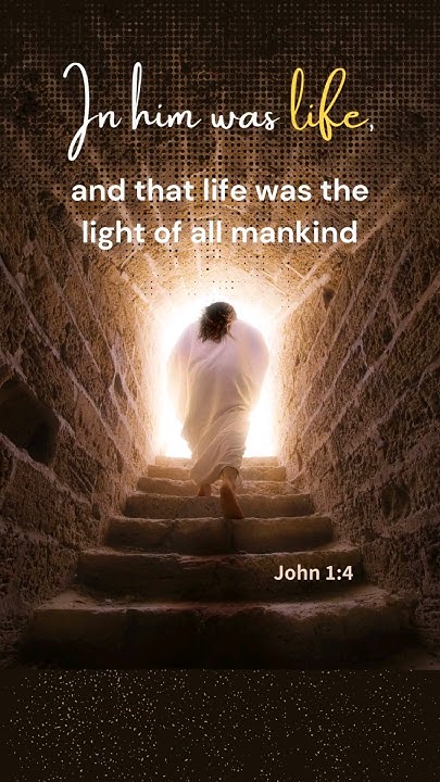 john-1-summary-shorts-short-bible-jesus-facts-quotes-god-love
