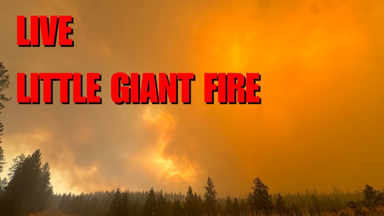 LIVE Little Giant Fire - Smoke Plume - Fish Lake, Washington - 08-07-26